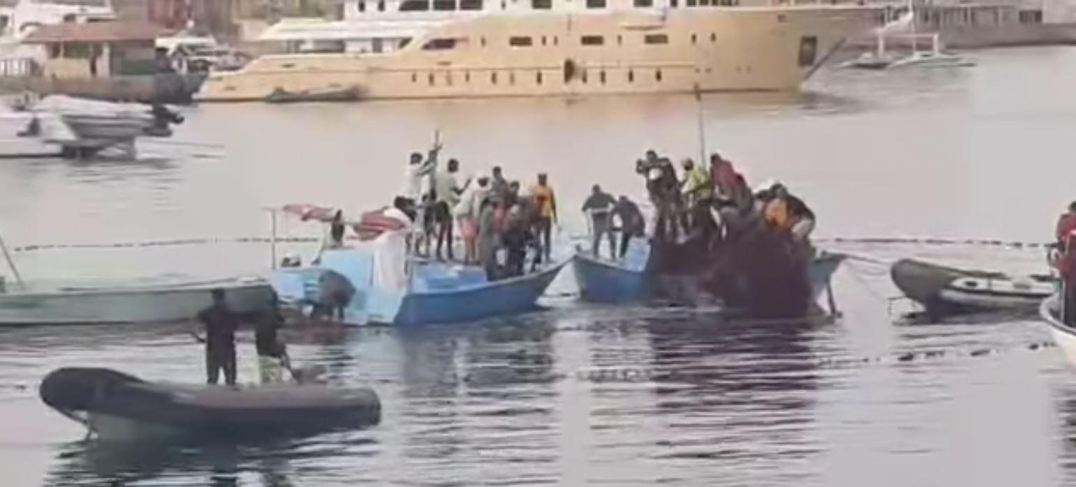 GROAZĂ în Egipt! Un tânăr a fost atacat și ucis de un rechin în Hurghada/ FOTO - Atenție, imagini care vă pot afecta emoțional!