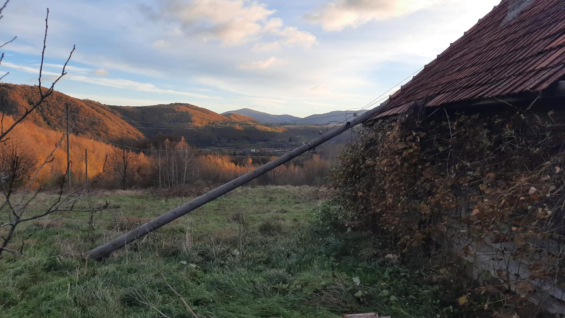 Vântul puternic a face pagube la Cluj: Un stâlp de electricitate și un copac, prăbușiți pe două case