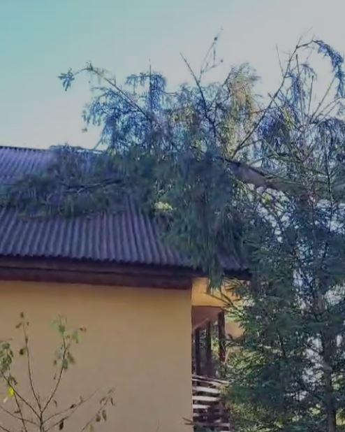 Vântul puternic a face pagube la Cluj: Un stâlp de electricitate și un copac, prăbușiți pe două case