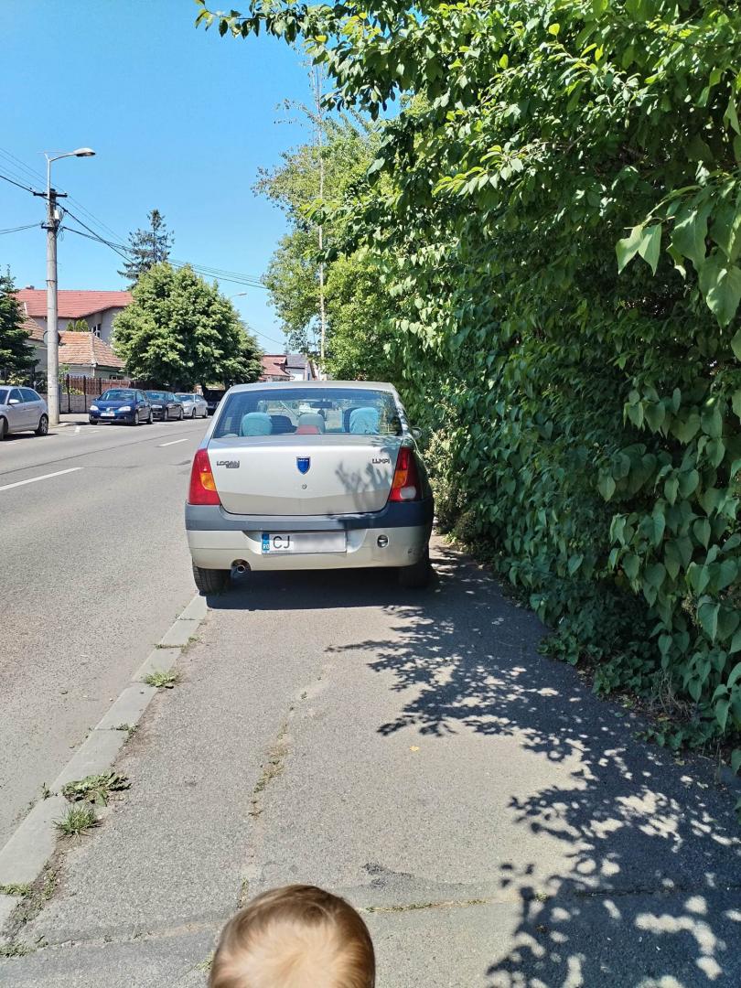"Încă o victimă a vandalismului" / "Data viitoare o să trec cu căruciorul peste ea"