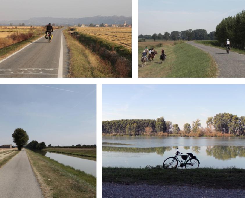 Culoarul verde-albastru de-a lungul Someșului, în comisia de urbanism a județului. Ce s-a discutat