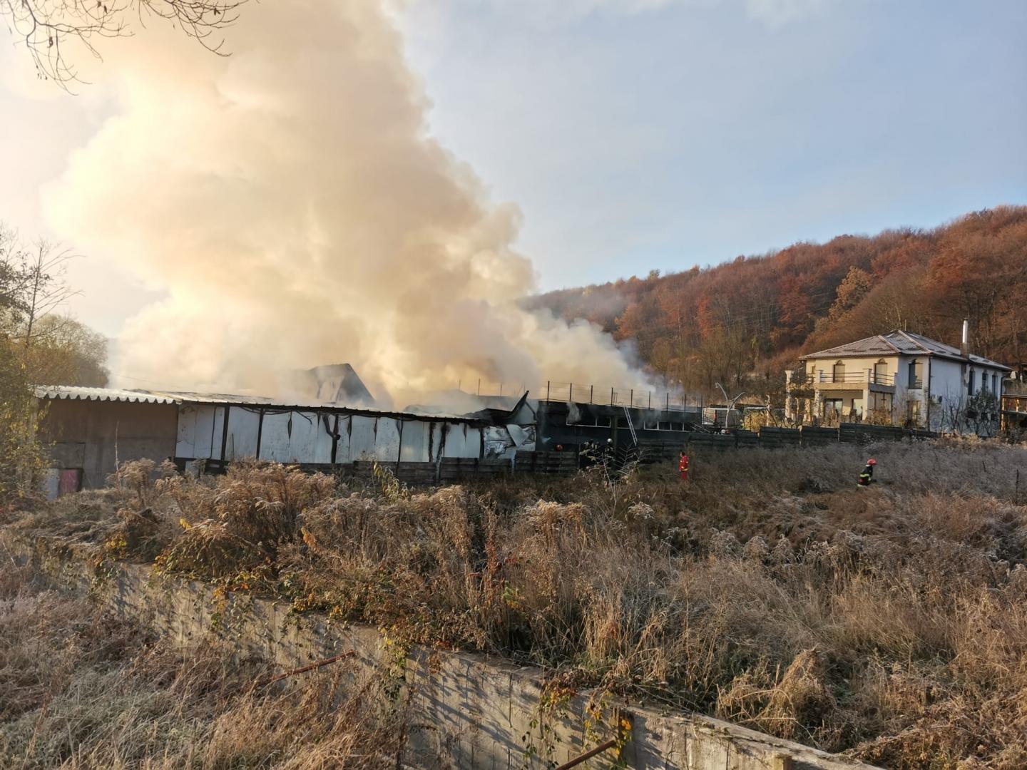 A luat FOC o hală din comuna Feleacu / Intervin  4 autospeciale cu 3 autoscări
