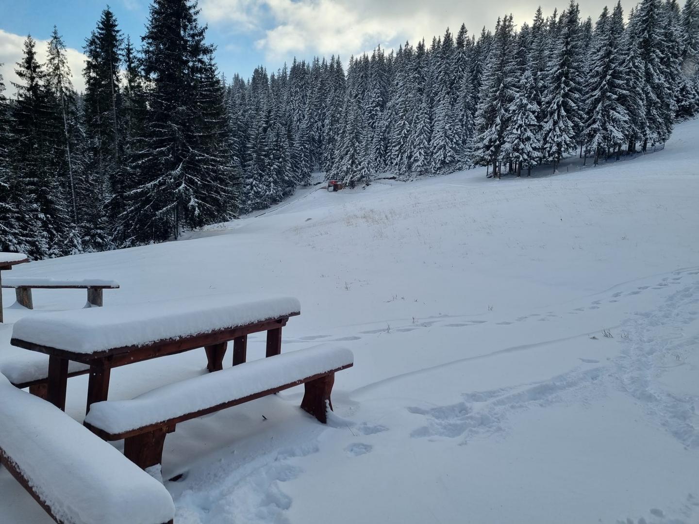 Liber la săniuș în Băișoara! A nins, vine weekendul și se deschide pârtia