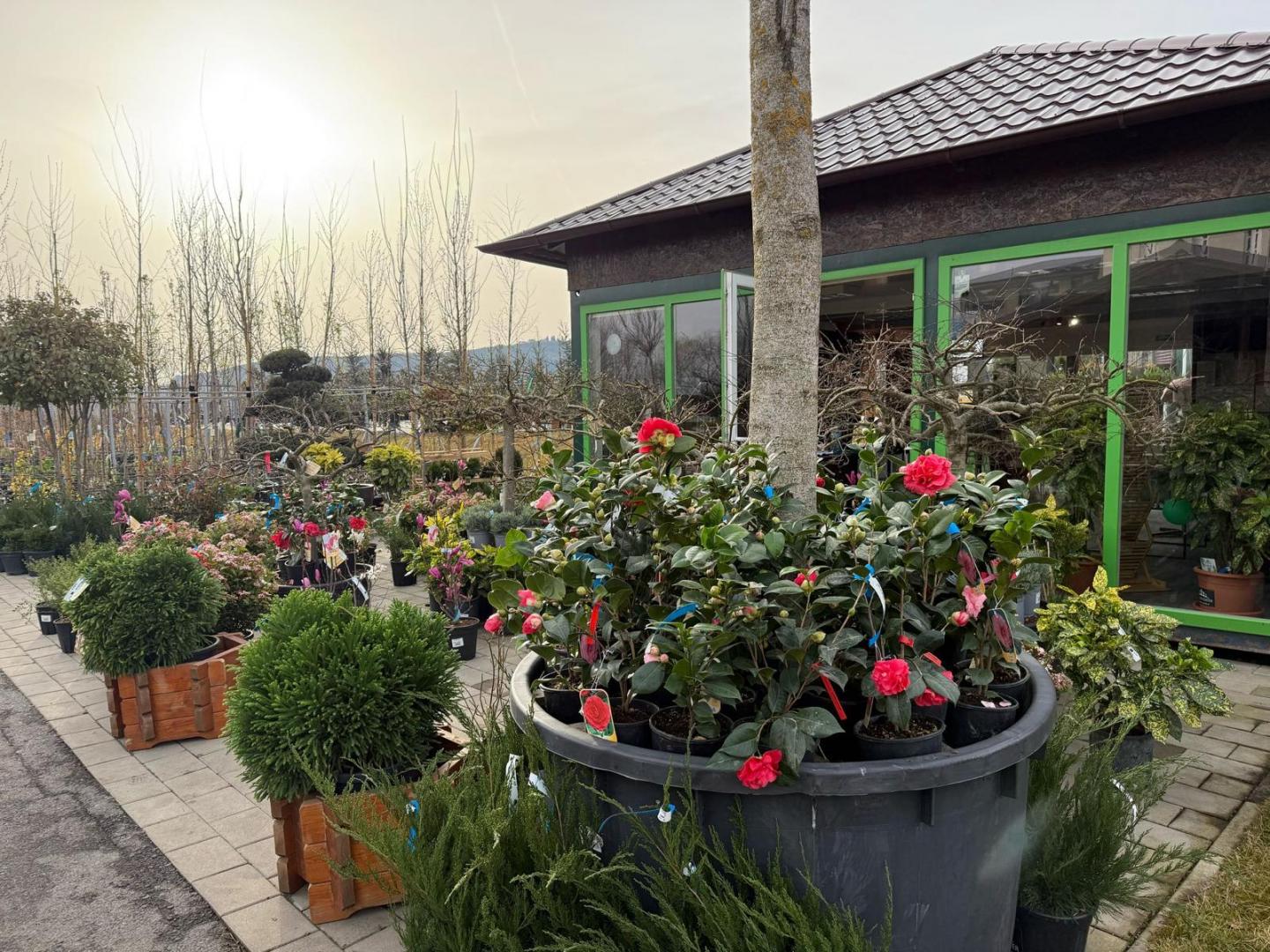 A venit primăvara la Garden Point by Eco Garden Construct, "hypermarket-ul" de plante de pe Calea Turzii