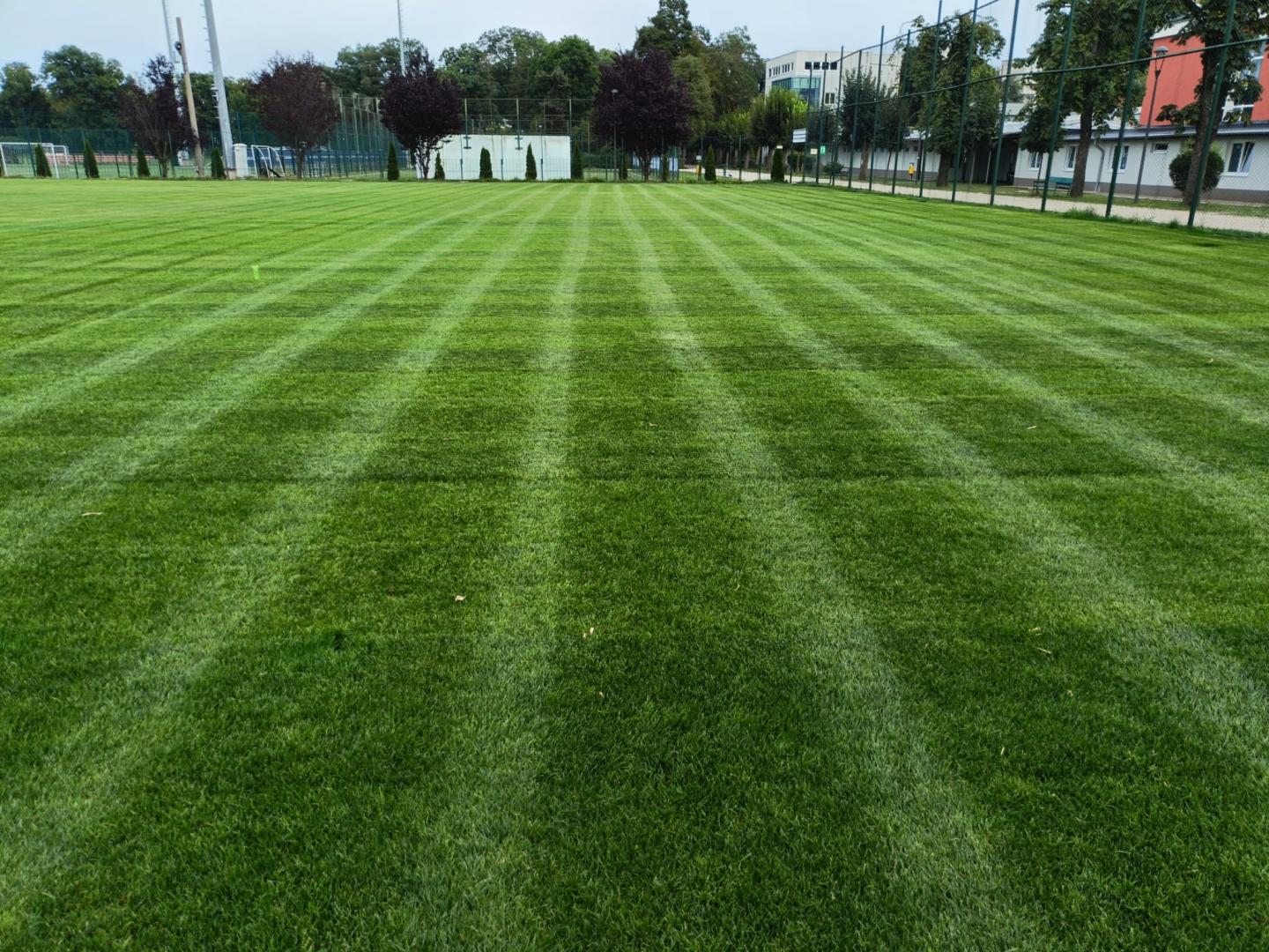 "U" Cluj se întoarce în Parcul "Iuliu Hațieganu", unde o așteaptă un teren de antrenament nou-nouț
