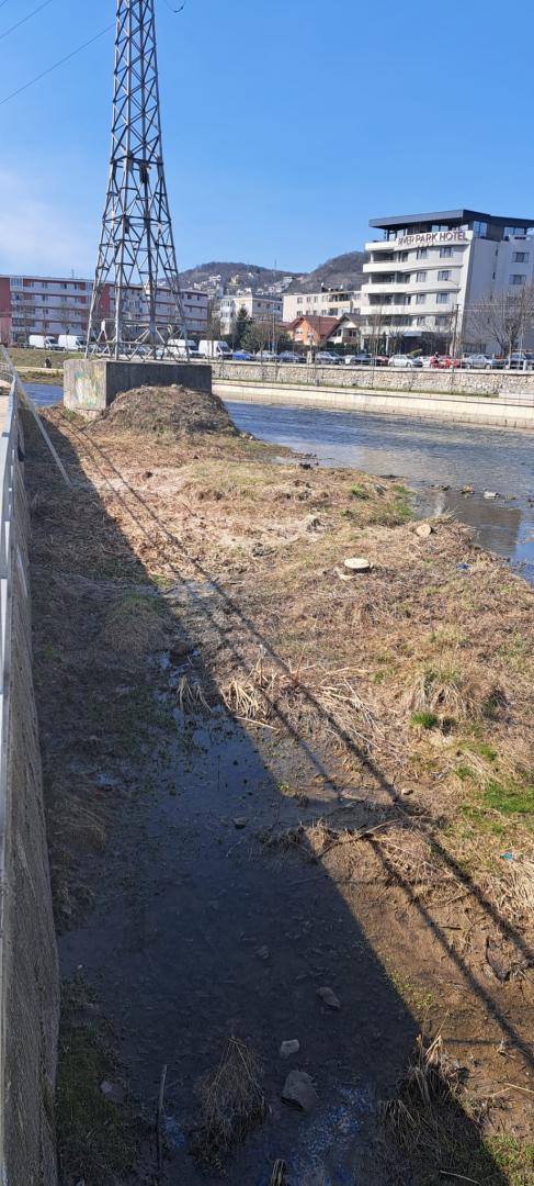 Cine a avut "strălucita" idee să taie stufărișul? / &rdquo;Specialiștii&rdquo; omoară &icirc;ncet și sigur toată biodiversitatea