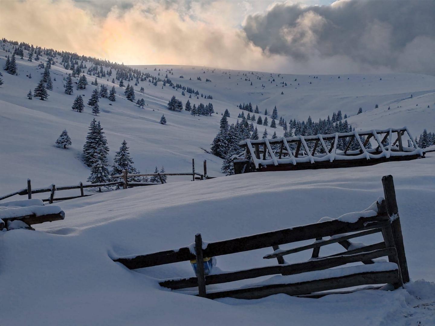 Iarna refuză să plece! Imagini spectaculoase: zăpadă și ninsoare ca-n ianuarie, &icirc;n plină primăvară, la munte