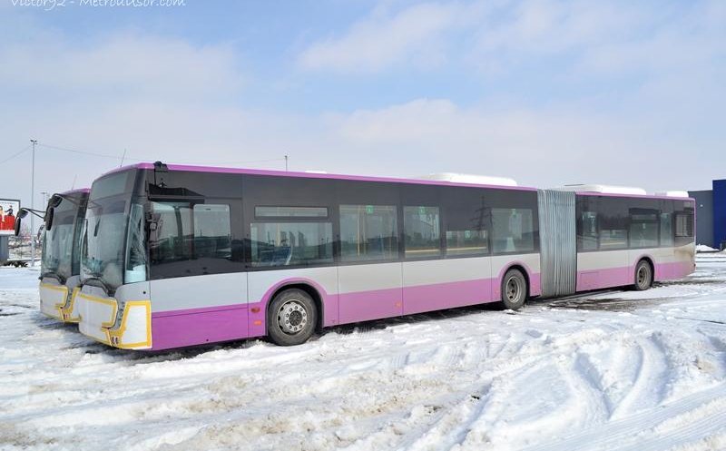 Mărţişoare mov. Vin primele autobuze Mercedes