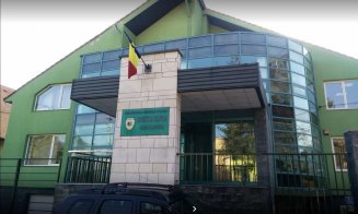 Anunţ Direcţia Silvică Cluj - Licitaţii masă lemnoasă