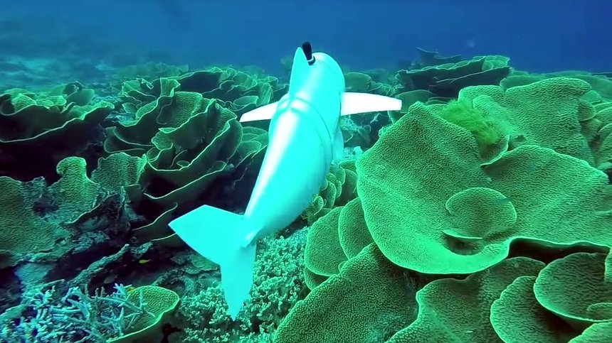 Peşte robotic pentru a studia oceanele. Între creatori se numără și un clujean