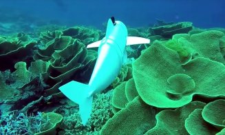 Peşte robotic pentru a studia oceanele. Între creatori se numără și un clujean