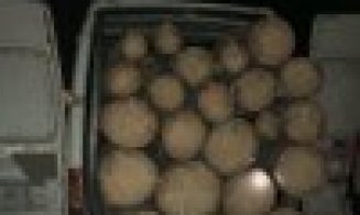 Controale împotriva delictelor silvice la Cluj. Două maşini cu lemne, confiscate