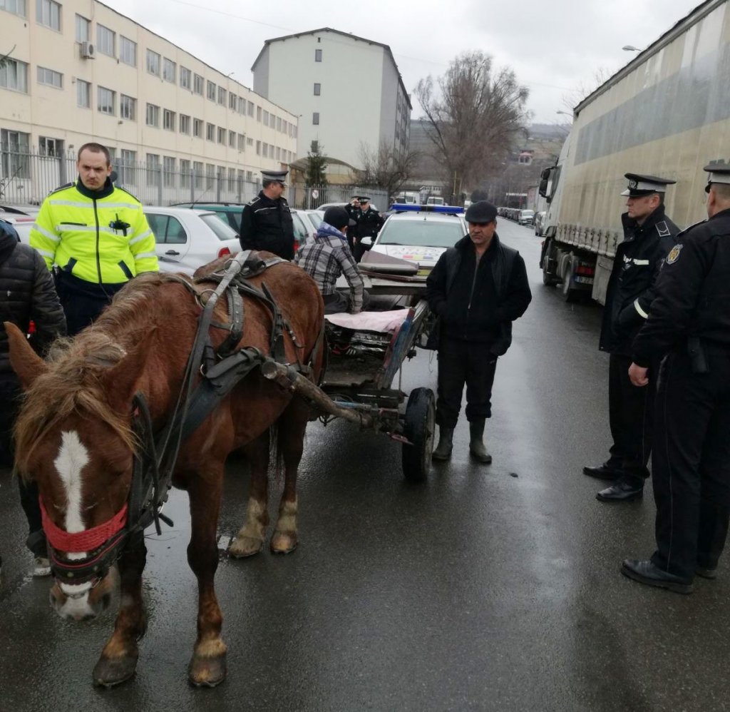 Pe un bulevard din Cluj, ca la sat! Poliţiştii au confiscat o căruţă cu cal, iar proprietarul e cercetat pentru port ilegal de armă albă