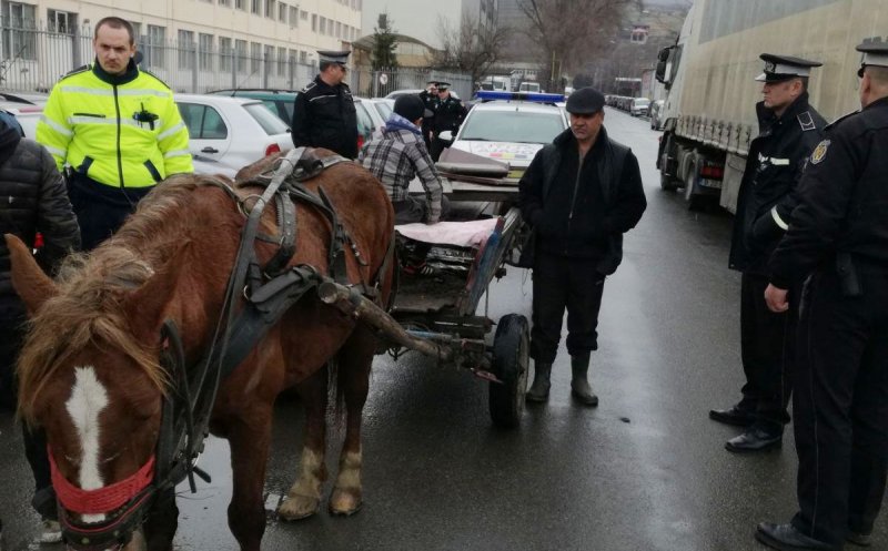 Pe un bulevard din Cluj, ca la sat! Poliţiştii au confiscat o căruţă cu cal, iar proprietarul e cercetat pentru port ilegal de armă albă