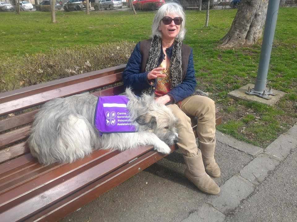 Kratu, metisul mioritic abandonat în România, care a devenit câine de terapie pentru stăpâna lui