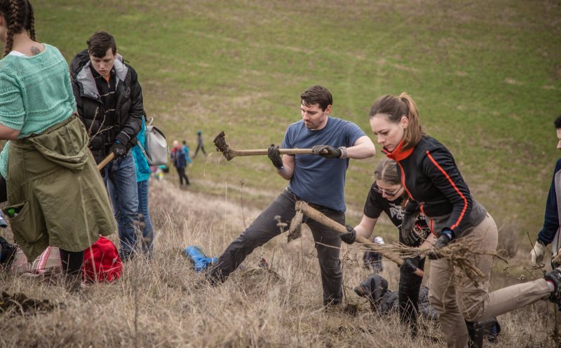 Exemplu pentru toţi! Fostul Principe Nicolae, soţia sa şi Tibi Uşeriu, la plantat de copaci în Cluj