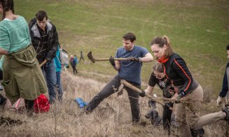 Exemplu pentru toţi! Fostul Principe Nicolae, soţia sa şi Tibi Uşeriu, la plantat de copaci în Cluj