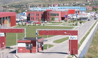 Cât costă un kilogram de carne de miel. Punct autorizat de vânzare şi sacrificare la Dezmir