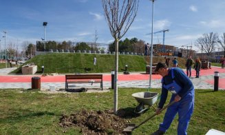 Înverzeşte Clujul: cireşi japonezi plantaţi în parcuri şi gazon montat la Baza Sportivă Gheorgheni