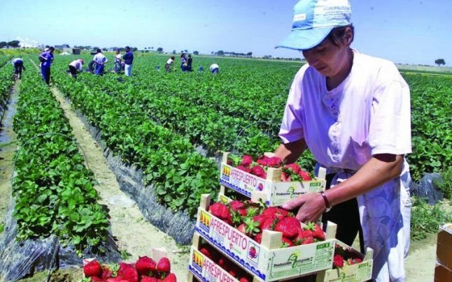 1.200 de locuri de muncă în străinătate, prin reţeaua Eures