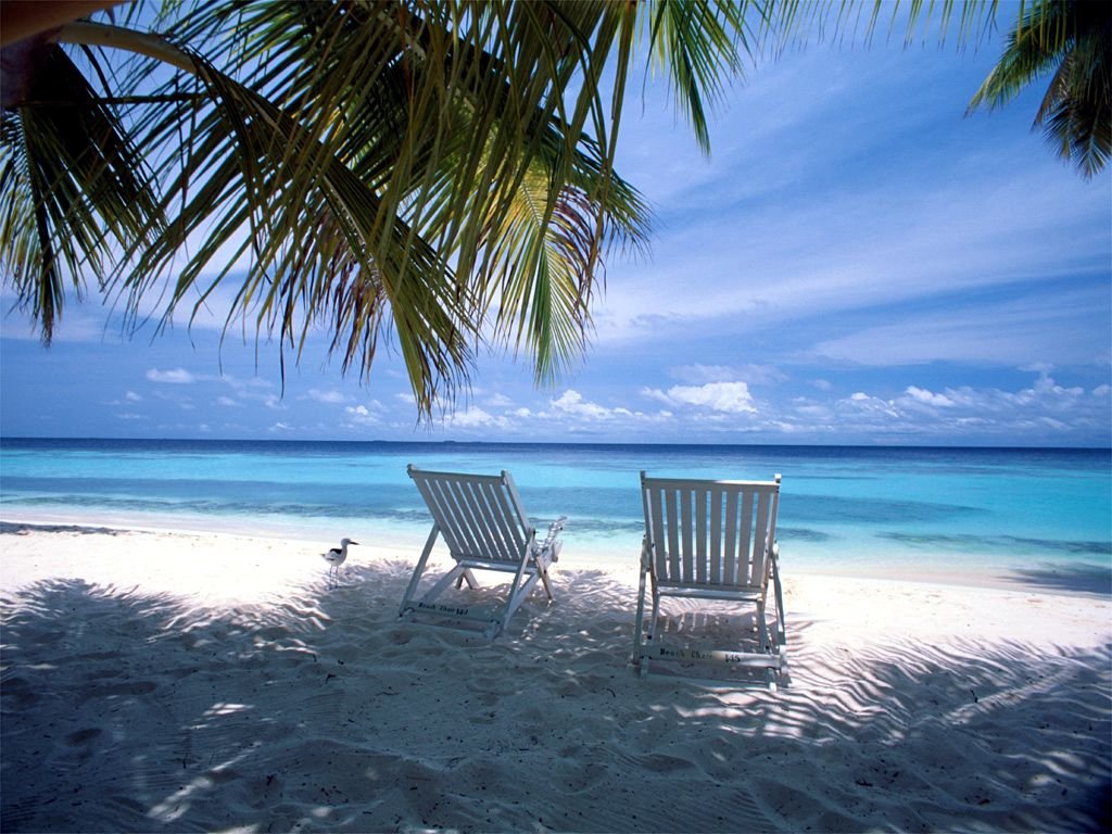 Încă o minivacanţă pentru români. Guvernul declară 30 aprilie zi liberă