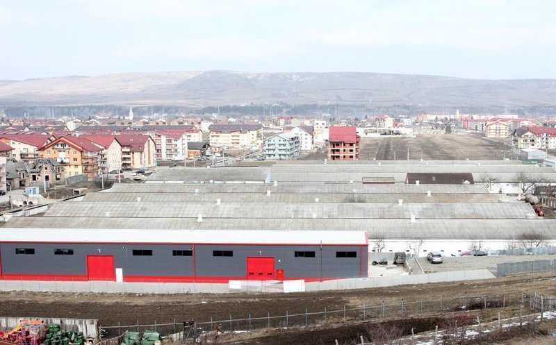 Şulea: "Vremea fermei de pui în Florești a apus. Firma este în insolvenţă"
