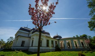 Cum arată grădina cu cireşi japonezi din Parcul Central. Clujul va avea o alee unică