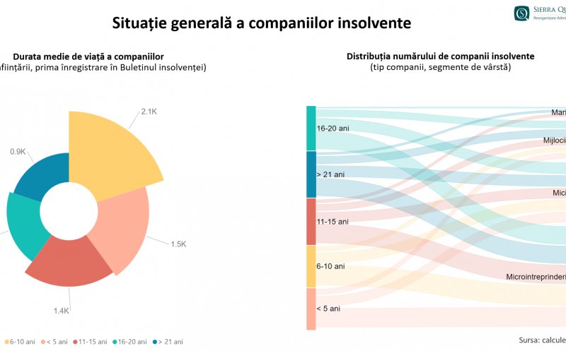 Ardealul de Nord are afaceri de 2 miliarde de lei intrate în malaxorul insolvențelor