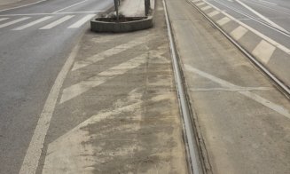 Președintele PMP Cluj, senatorul Cristian Lungu: “Clujul arată ca o comună în fiecare primăvară”