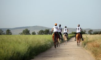 Cai, competiţie, mâncare tradiţională şi distracţie, în weekend la Salina Equines