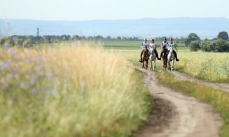 Cai, competiţie, mâncare tradiţională şi distracţie, în weekend la Salina Equines