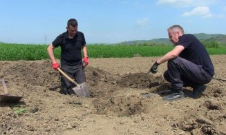 Peste 140  de proiectile din al Doilea Război Mondial, descoperite la Cluj