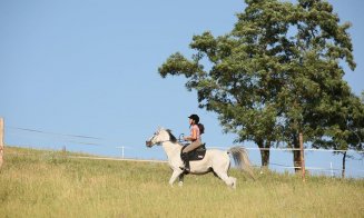 "Maratonul cailor", la Salina Equines din Cluj.  Peste 40 de cai şi călăreţi se între pe 120 de km