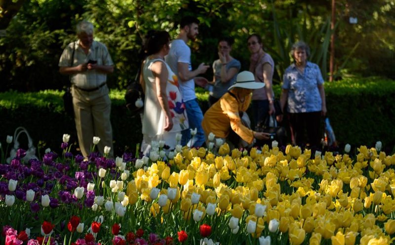 Sute de clujeni şi-au petrecut duminica în Grădina Botanică. Intrarea a fost gratuită pentru cei ce aveau la ei o carte