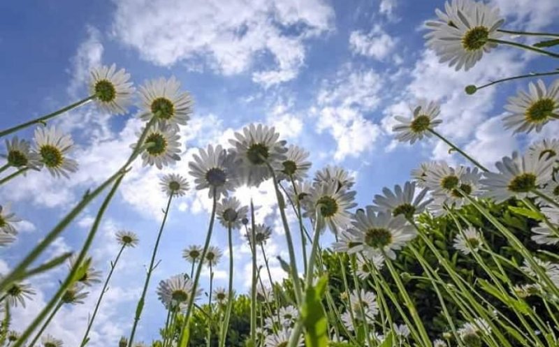 Prognoza meteo pentru următoarele zile. Ce temperaturi ne aşteaptă