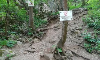 6.000 de persoane în Cheile Turzii. S-a redeschis traseul de via-ferrata