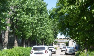 Cum arată Daciile de 22.300 de euro bucata ale poliţiştilor de la Imigrări. Una va ajunge la Cluj