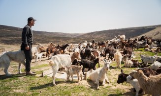 Fondul European pentru Europa de Sud-Est va acorda unei firme din Cluj un împrumut pentru susținerea afacerilor mici