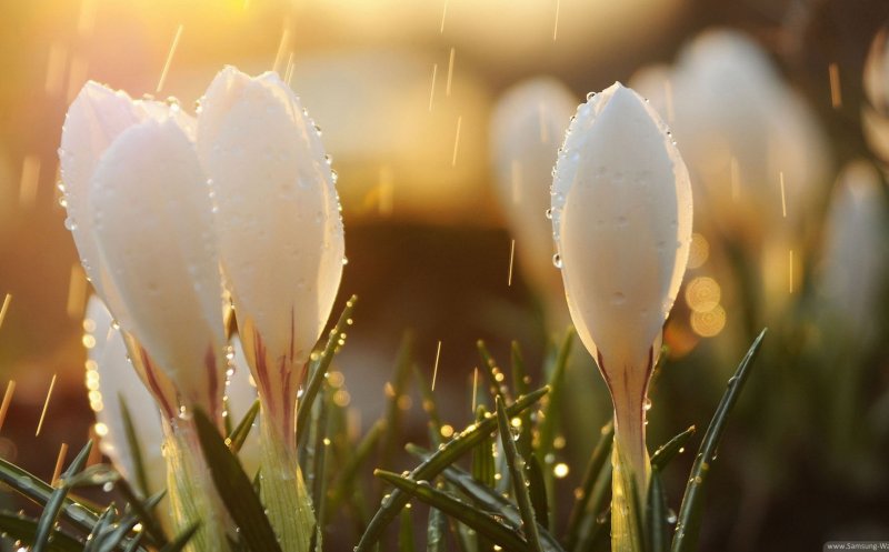 Prognoza meteo pentru săptămâna viitoare. ANM: Ne aşteaptă vreme instabilă, cu ploi şi vijelii