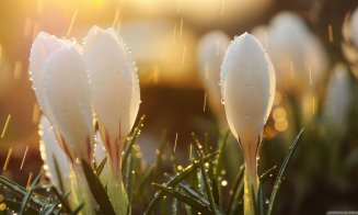 Prognoza meteo pentru săptămâna viitoare. ANM: Ne aşteaptă vreme instabilă, cu ploi şi vijelii