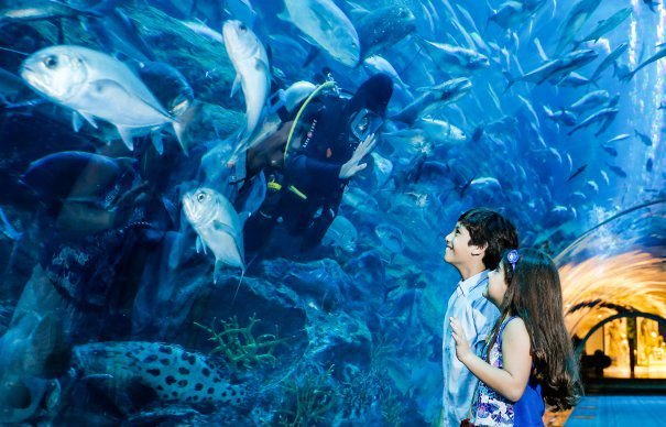 ”Da” pentru acvariul cu tunel și parcul cu bizoni și zimbri