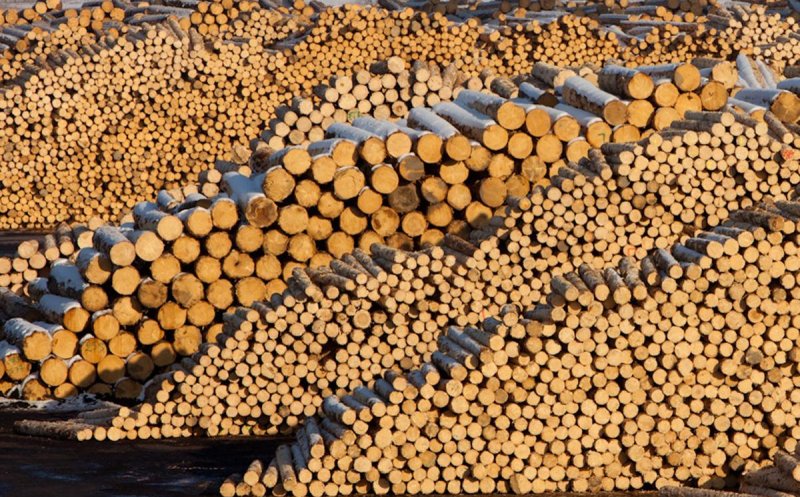 Senator de Cluj: Am înlăturat un pericol foarte grav la adresa ariilor naturale protejate