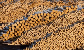 Senator de Cluj: Am înlăturat un pericol foarte grav la adresa ariilor naturale protejate