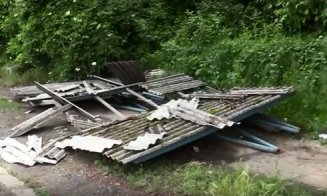 Patru fraţi răniţi din Dej răniţi grav de... o staţie de autobuz