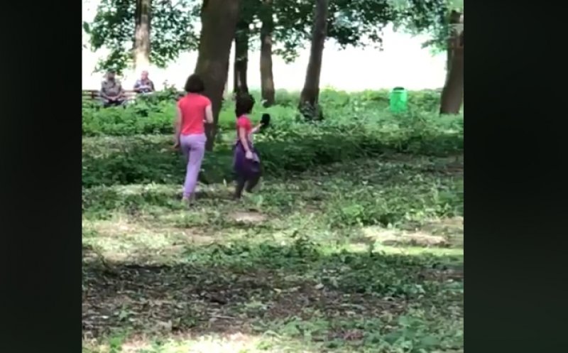 În Câmpia Turzii, copiii se joacă în parc cu... ciori moarte!