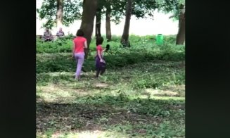 În Câmpia Turzii, copiii se joacă în parc cu... ciori moarte!