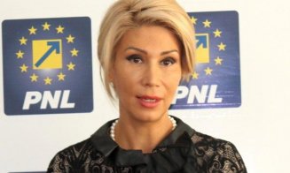 Scandalul Pilonului II. Turcan: "Pensia medie în România va ajunge la câteva sute de lei"