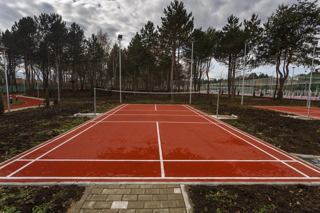 Se usucă pinii din Baza Sportivă Gheorgheni. "Ăsta-i orașul de cinci stele?"