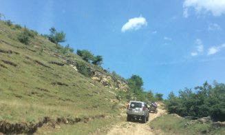 Safari cu bivoli la Cluj