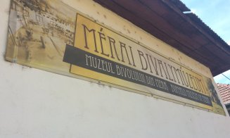 Safari cu bivoli la Cluj